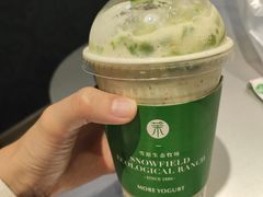 -茉酸奶(春熙路店)