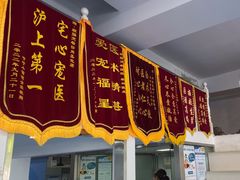-顺强宠物诊所·狂犬免疫·夜诊·骨科(嘉定店)