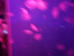 -石林冰雪海洋世界