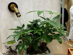 -瑶舍头疗·瑶浴·芳香热石SPA(五洲国际店)