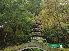 -深圳国际园林花卉博览园