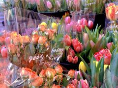 -循礼门鲜花花市(武汉循礼门店)