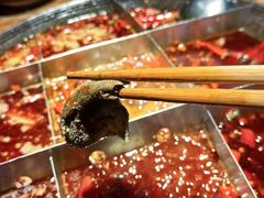-陈陈火锅(较场口店)
