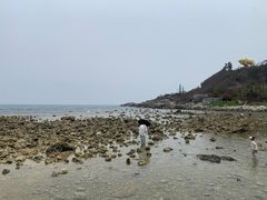 -三亚西岛海洋文化旅游区