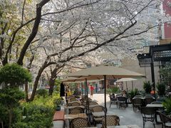 -玛格萝妮比萨屋(四平店)