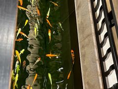 -龙悦湾酒家·八阵鱼生·渔人码头店