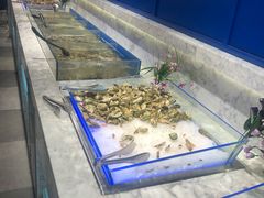 水产区-火锅岛潮牌自助餐厅(天津天佑城店)