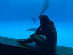 -西海国立公园九十九岛水族馆