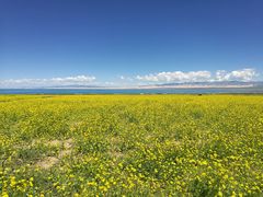 -青海湖国家重点风景名胜区