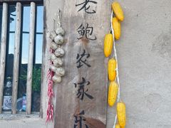 -老鲍农家乐