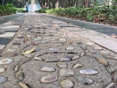 -河南省黄河迎宾馆