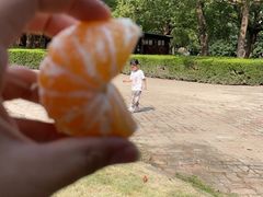 -上海野生动物园