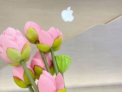 -金茂览秀城