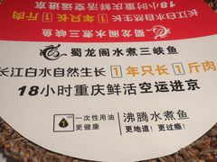 -雲蜀龙阁·金牌水煮鱼(方庄店)