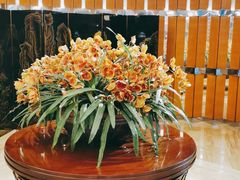 -峨眉山世纪阳光大酒店(峨眉高铁站店)