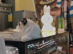 -咖法森林·咖啡  酒吧(天河店)