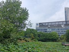 -月湖风景区