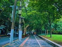 -Feiyue飞跃(长乐路店)