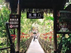 -呀诺达热带雨林