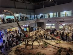 -自贡恐龙博物馆