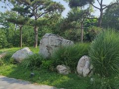 -莲花池公园