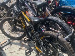 -道路口单车爱瓦士dahon大行