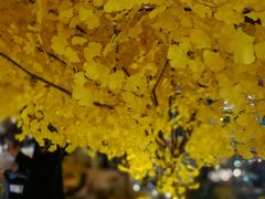 -义乌之心城市生活广场(新马路店)