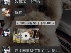 -奈斯宠物医院·核磁CT·异宠专科·内镜(中南店)