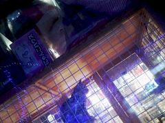 -爱宠屋pet shop·宠物洗澡·宠物美容