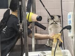 -FAELING PETS美天灵宠物(富力广场店)