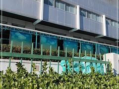 -首都医科大学附属北京同仁医院(西区)