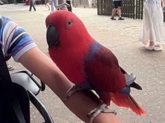 -深圳野生动物园
