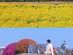 -苏州太湖国家湿地公园