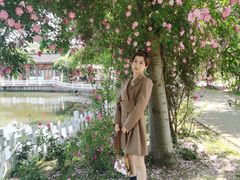 -鹅湖玫瑰文化园
