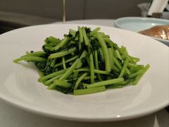 清炒茼蒿-狮王府淮扬菜(万象城店)
