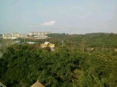 -广东茂名森林公园