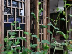 -礼耕堂·百年茶人餐厅(梅家坞店)