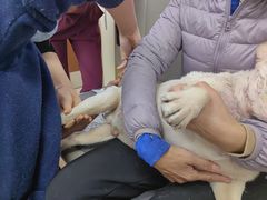-美联众合动物医院·24h转诊中心