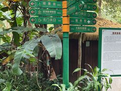 -野象谷景区