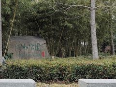 -活水公园