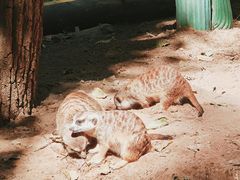 -北京野生动物园