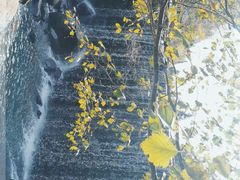 -汤旺河林海奇石景区