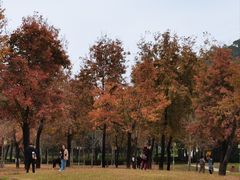 -顺峰山公园