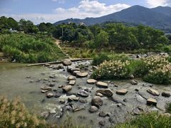 -卿园芳远·正宗石鼓白鸭汤