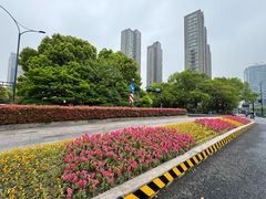 -城市阳台
