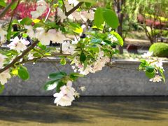 -元大都城垣遗址公园