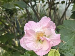 -昆明市金殿名胜区