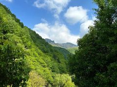 -牛背梁国家森林公园