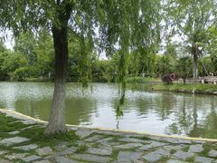 -黑龙潭公园