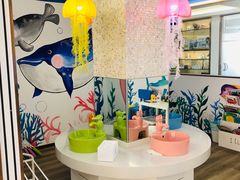 -Dr.Z dental仁康种植矫正中心